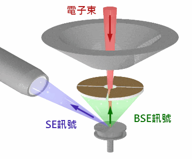 sem-position-backscattered-secon