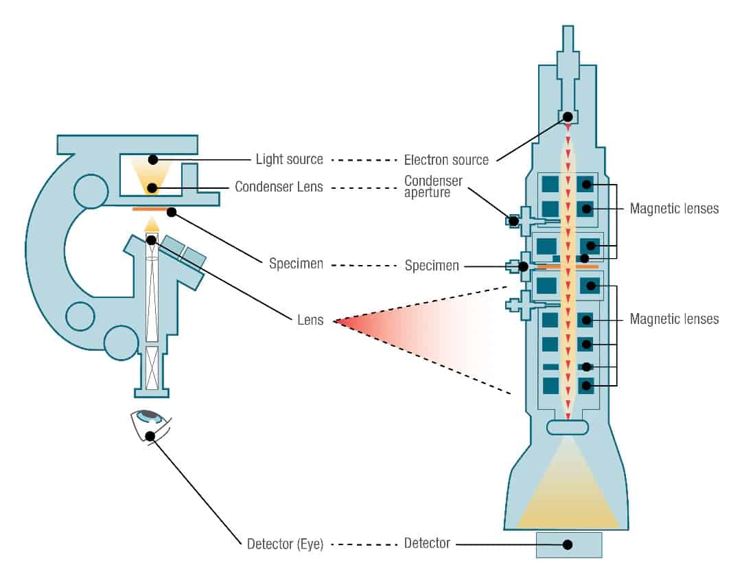 Side-by-side_comparison_of_TEM_optical_microscope